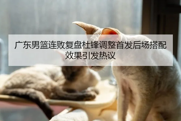 广东男篮连败复盘杜锋调整首发后场搭配效果引发热议
